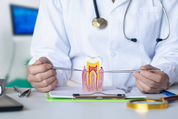 Best Emergency Broken Tooth Repair in Marlinton, WV